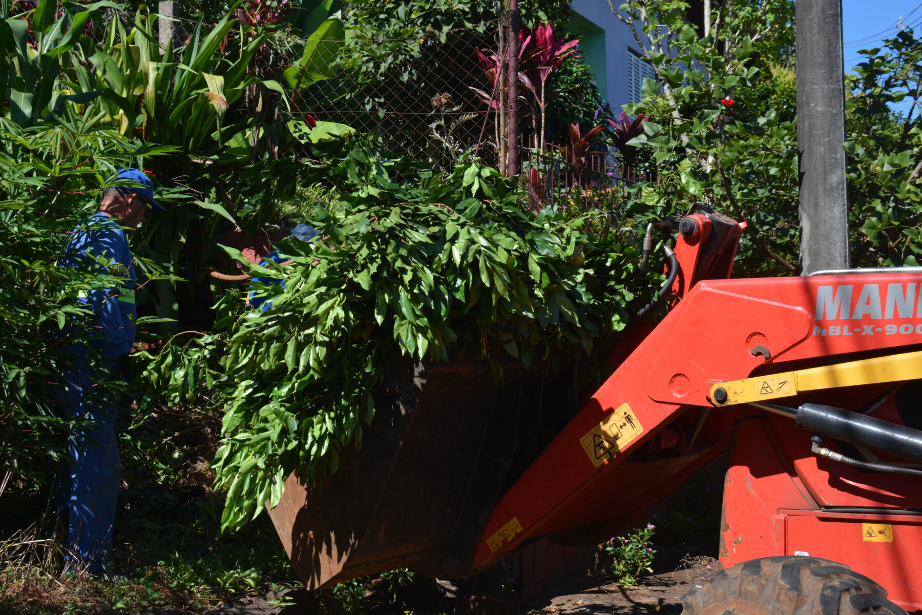 DSC_6689.JPG