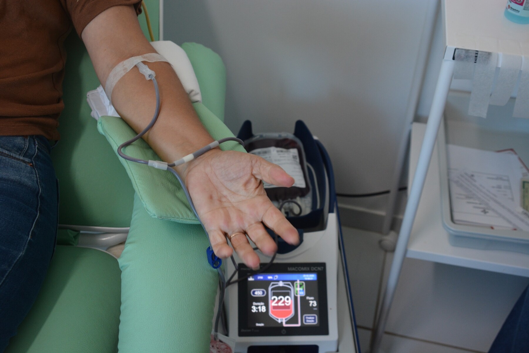 sangue3.jpg