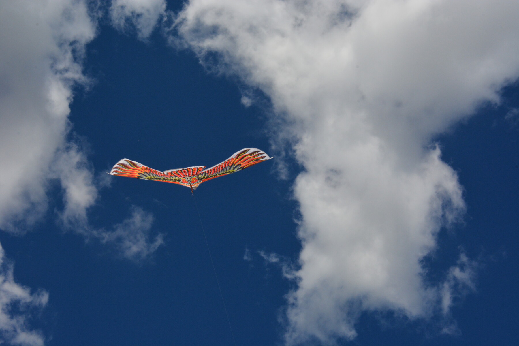 DSC_8293.JPG