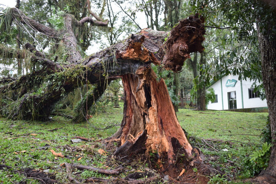 forca-tarefa-presta-assistencia-as-familias-afetadas-pelo-temporal-em-frederico-westphalen