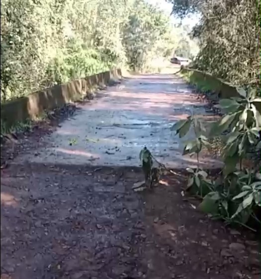 ponte-na-linha-pardinho-e-interditada-apos-vistoria-identificar-risco-de-desabamento-da-cabeceira