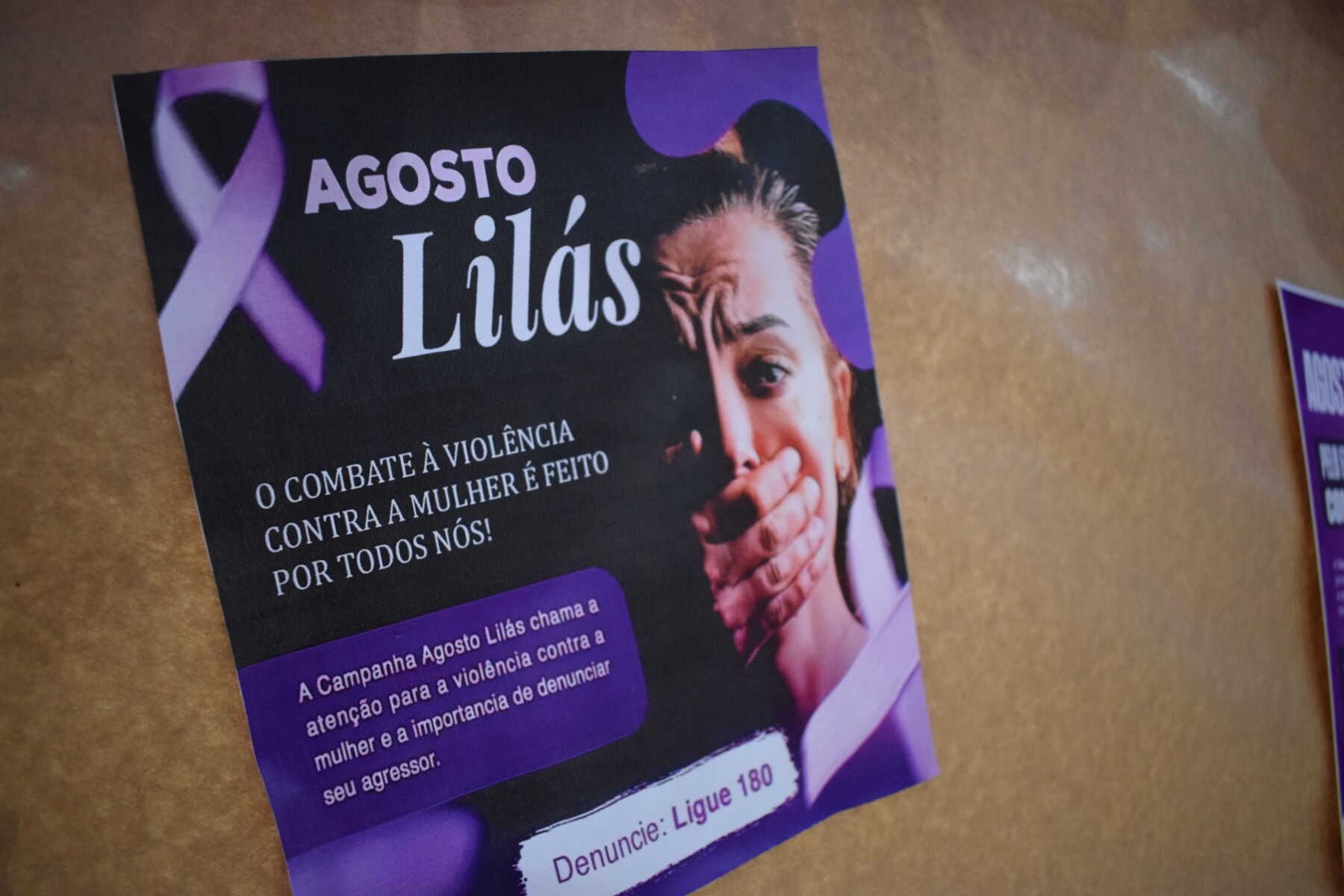 01 Agosto Lilás.JPG