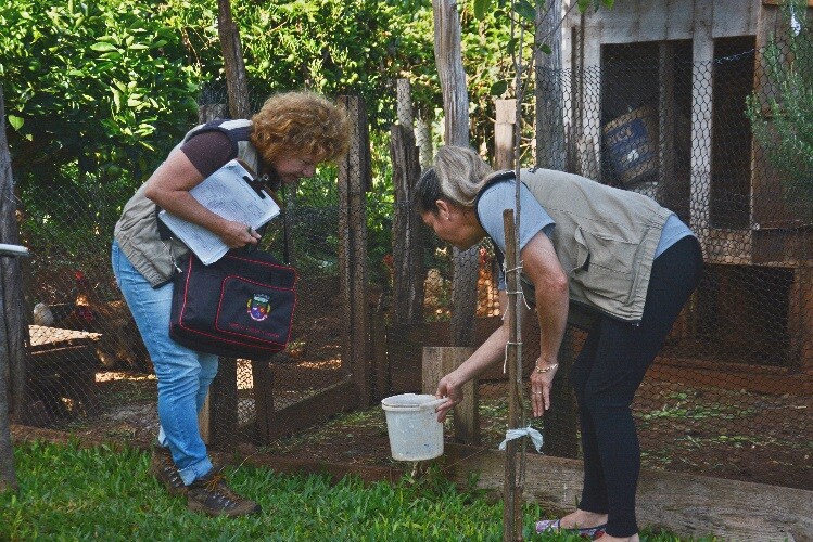 secretaria-da-saude-faz-novo-alerta-quanto-aos-cuidados-com-o-mosquito-da-dengue