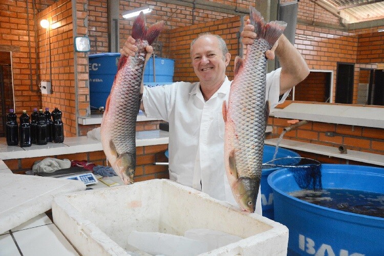 7-edicao-da-feira-do-peixe-sera-realizada-em-abril