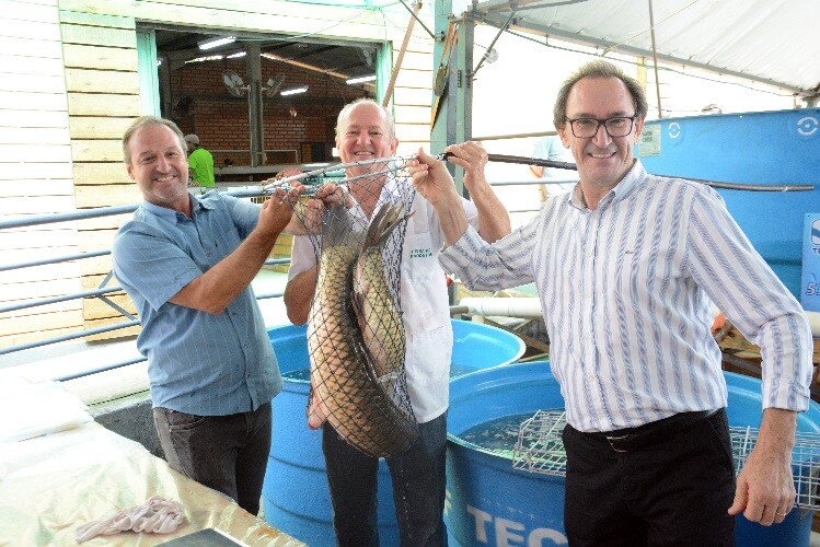 mais-de-sete-toneladas-sao-comercializadas-na-7-edicao-da-feira-do-peixe