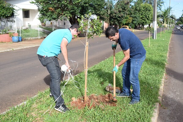 projeto-de-arborizacao-e-concluido-na-avenida-sao-paulo