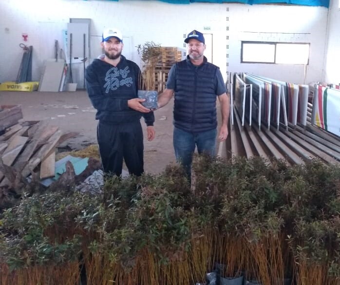 secretaria-de-agricultura-realiza-entrega-mudas-de-eucalipto
