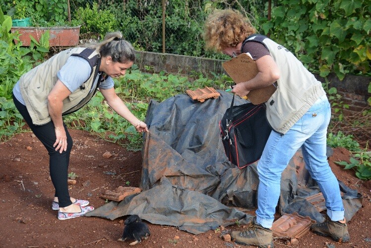 comunidade-deve-redobrar-cuidados-com-a-dengue