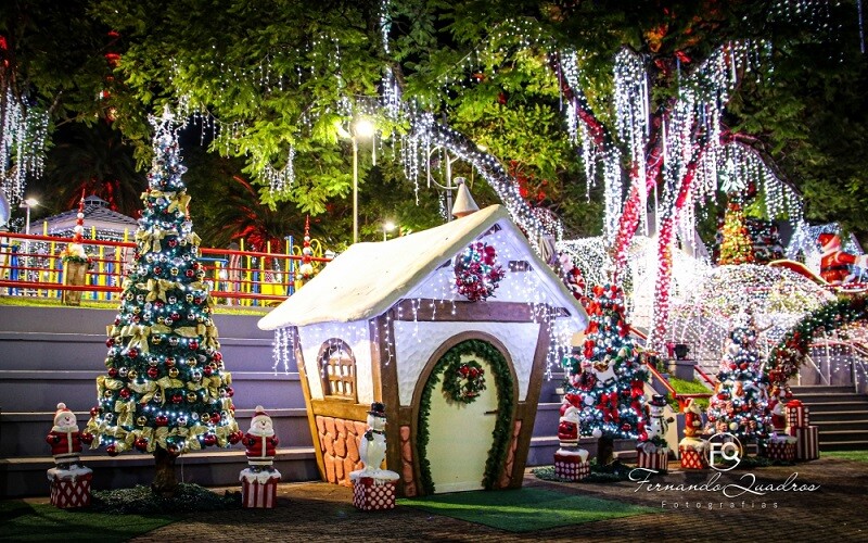 frederico-em-luz-decoracoes-serao-retiradas-a-partir-do-dia-13