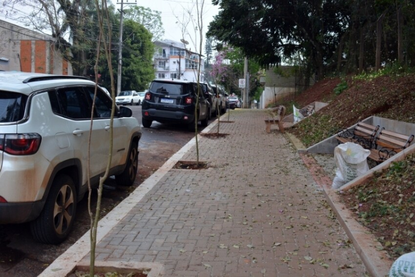 projeto-de-arborizacao-e-iniciado