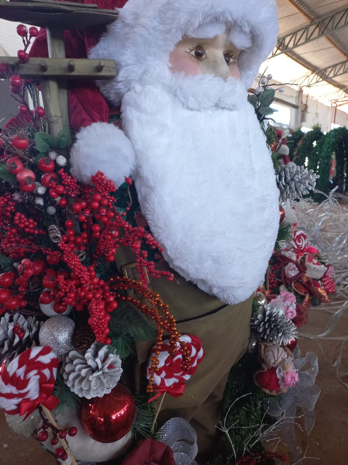 2448_2844.jpeg