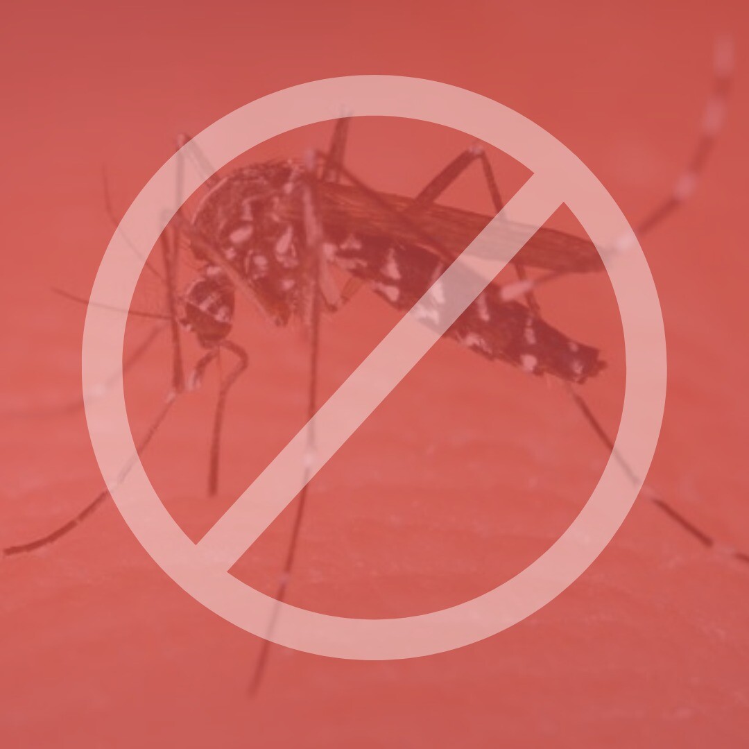 mutirao-de-combate-a-dengue-sera-realizado-no-sabado-em-fw