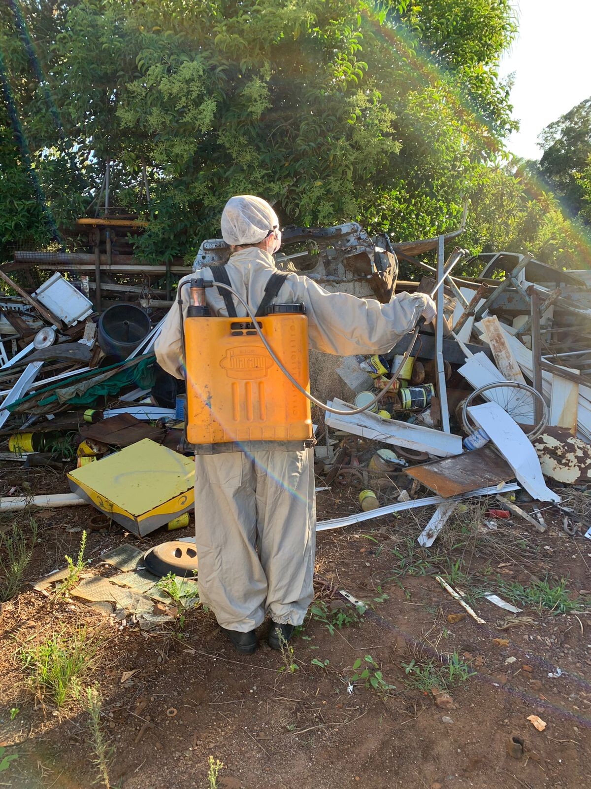 situacao-de-alerta-em-relacao-a-dengue-se-mantem-em-frederico-westphalen