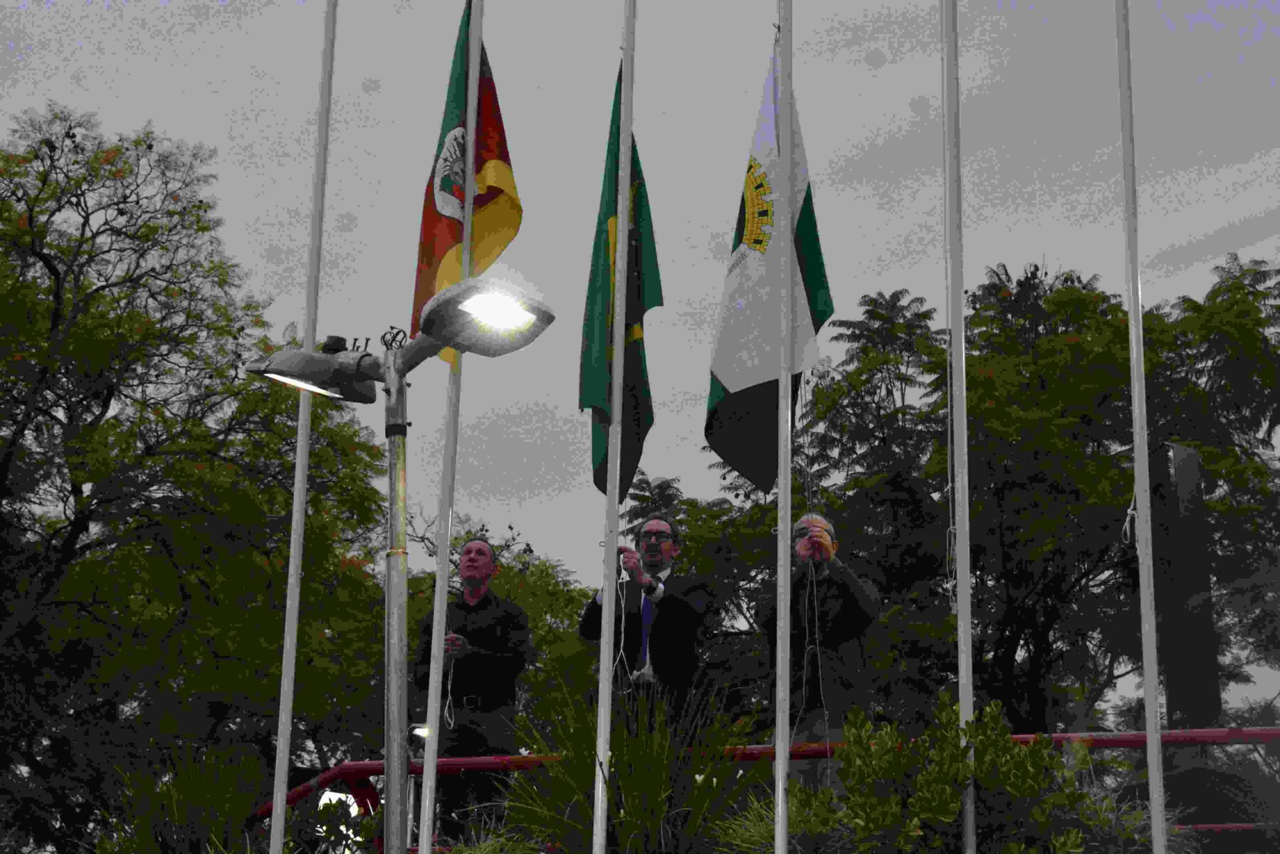 2997_3556.jpg