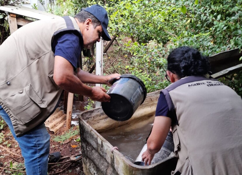governo-do-estado-reconhece-situacao-de-emergencia-em-razao-da-dengue-em-frederico-westphalen