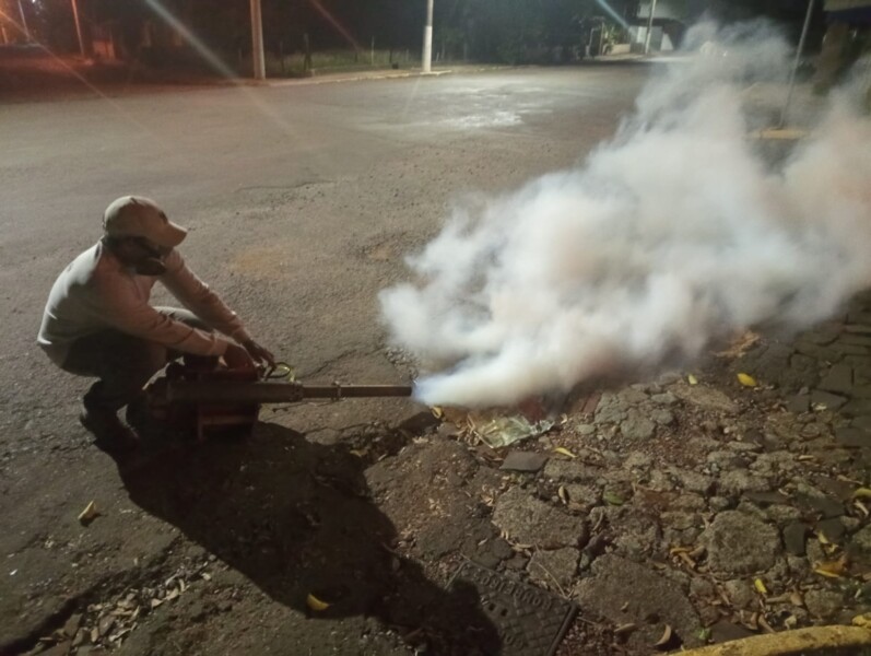secretaria-de-meio-ambiente-inicia-nova-etapa-de-desinsetizacoes-em-toda-a-area-urbana-de-frederico-westphalen