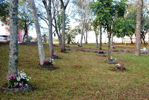 577_742.jpg