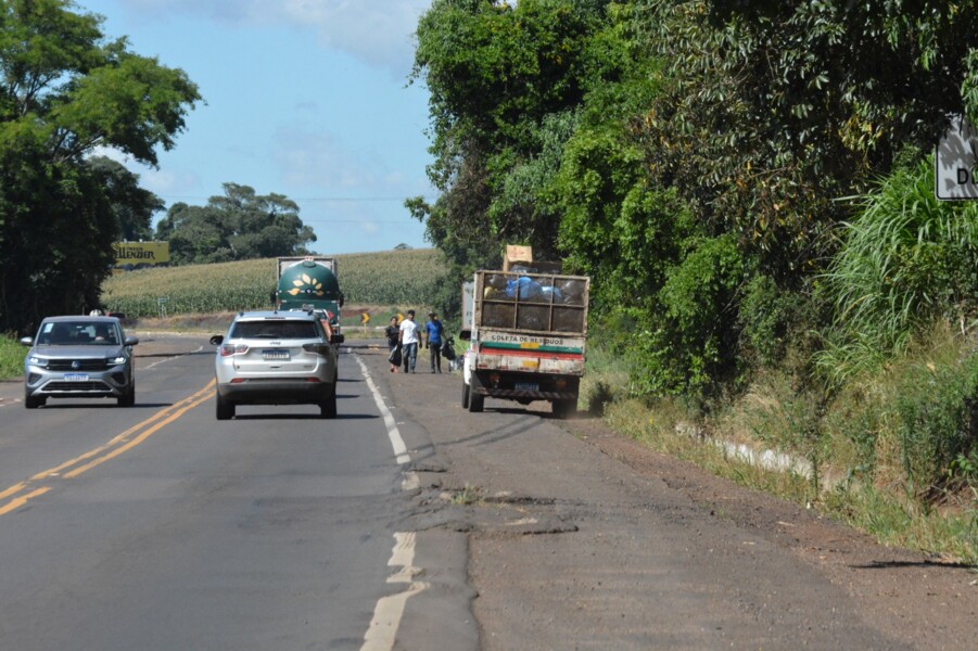 prefeitura-de-frederico-westphalen-promove-acao-de-limpeza-e-conscientizacao-ambiental-ao-longo-da-br-386